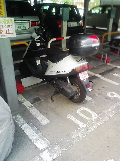 とある日の後ろ